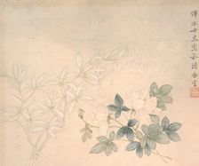 Flower Study, 17th century. Creator: Yun Bing
