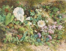Flower Study, 1866. Creator: John Jessop Hardwick