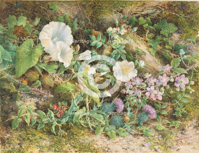 Flower Study, 1866. Creator: John Jessop Hardwick.