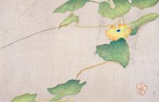 Flower Study, about 1908. Creator: Wilhelmina Seegmiller