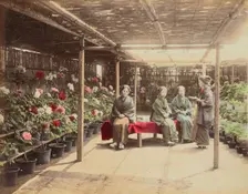 Flower Show, 1870s-1890s. Creator: Kusakabe Kimbei