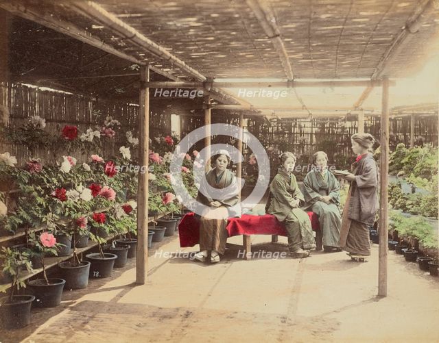 Flower Show, 1870s-1890s. Creator: Kusakabe Kimbei.