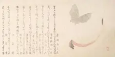 Flower-Vase of Horn and a Butterfly, early 19th century. Creator: Kubo Shunman