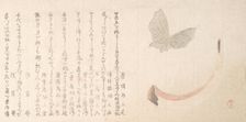 Flower-Vase of Horn and a Butterfly, early 19th century. Creator: Kubo Shunman