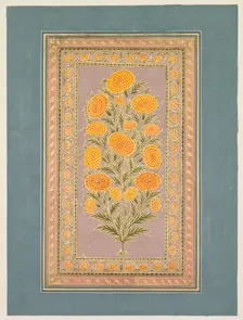 Flowering Marigold, c. 1765. Creator: Hunhar II (Indian, active mid-1700s), style of