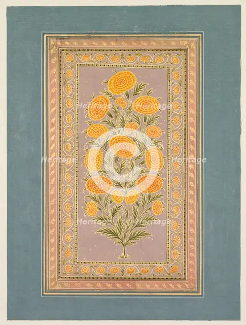 Flowering Marigold, c. 1765. Creator: Hunhar II (Indian, active mid-1700s), style of.