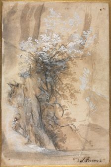 Flowering Bush above an Eroded Bank, 1565-1570. Creator: Federico Barocci (Italian, 1528-1612)