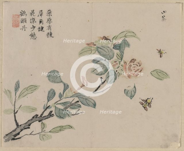 Flowering Branch with Bees, 18th Century. Creator: Unknown.