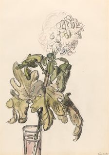 Flowering chrysanthemum, in a vase, 1872-1950. Creator: Barbara Elisabeth van Houten