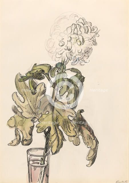 Flowering chrysanthemum, in a vase, 1872-1950. Creator: Barbara Elisabeth van Houten.