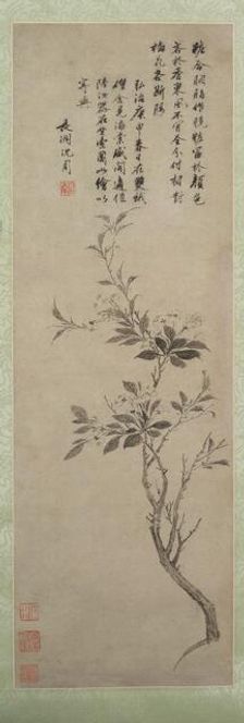 Flowering Crab Apple, 1500. Creator: Shen Zhou (Chinese, 1427-1509)