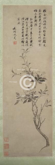 Flowering Crab Apple, 1500. Creator: Shen Zhou (Chinese, 1427-1509).