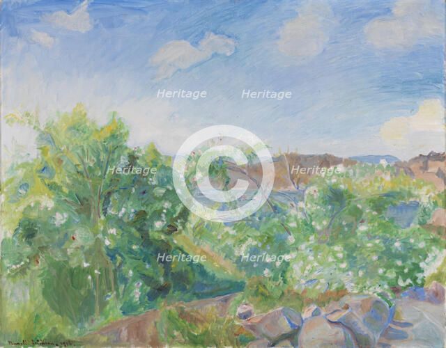 Flowering Dog Roses, 1926. Creator: Thorvald Erichsen.