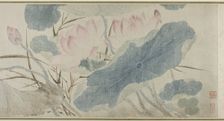 Flowering Lotus, Ming dynasty (1368-1644), 1543. Creator: Chen Shun