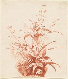 Flowering Plant with Grass, mid 1760s. Creator: Jean Baptiste Marie Huet