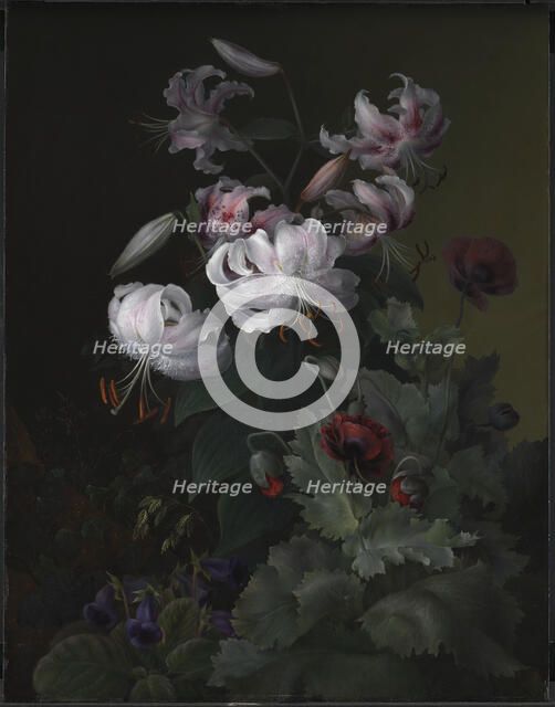 Flowering plants, 1845. Creator: Hermania Neergaard.