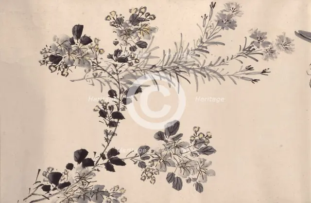 Flowering plants of the four seasons, 1842. Creator: Oda Kaisen.
