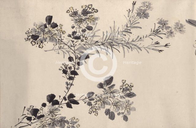 Flowering plants of the four seasons, 1842. Creator: Oda Kaisen.