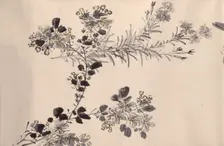 Flowering plants of the four seasons, 1842. Creator: Oda Kaisen