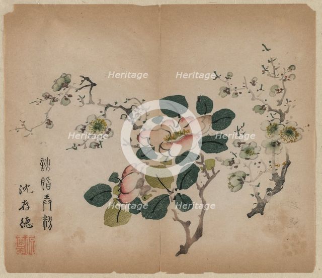 Flowering Prunus, 1368-1644. Creator: Unknown.