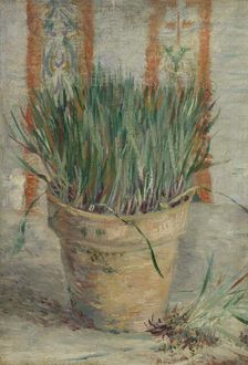 Flowerpot with Garlic Chives, 1887. Creator: Gogh, Vincent, van (1853-1890)