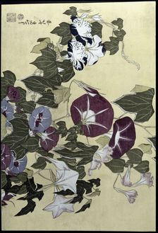 Flowers 19th century. Creator: Hokusai, Katsushika (1760 - 1849)