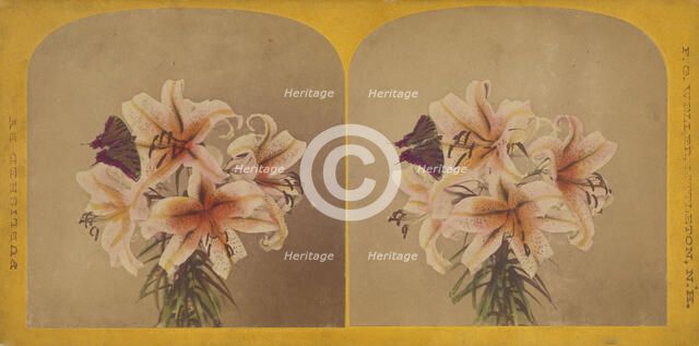 Flowers with butterfly, about 1870. Creator: F. G. Weller.