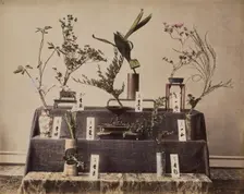 Flowers, about 1875-1890s. Creator: Unknown