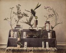 Flowers, about 1875-1890s. Creator: Unknown