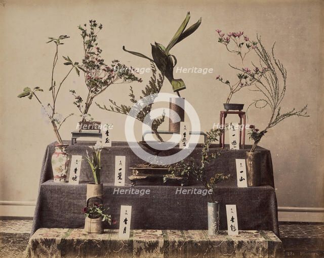 Flowers, about 1875-1890s. Creator: Unknown.