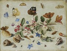Flowers and Insects, late 1650s or early 1660s. Artist: Jan van Kessel
