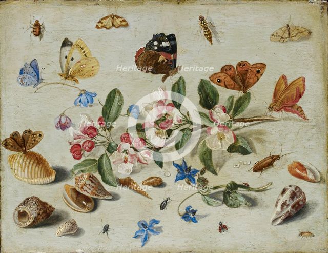 Flowers and Insects, late 1650s or early 1660s. Artist: Jan van Kessel.
