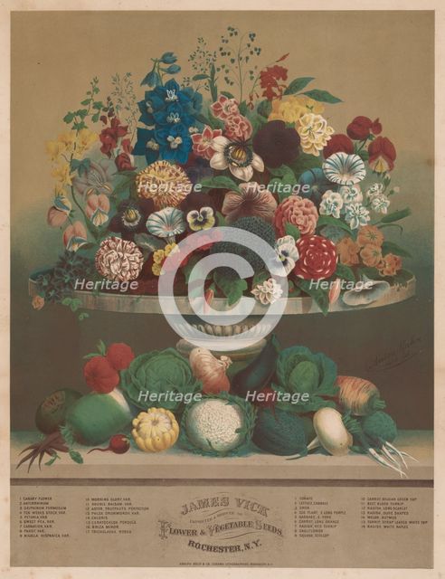Flowers and Vegetables, 1800s. Creator: Anton Carl Rahn (American, born Germany, 1842-1907).