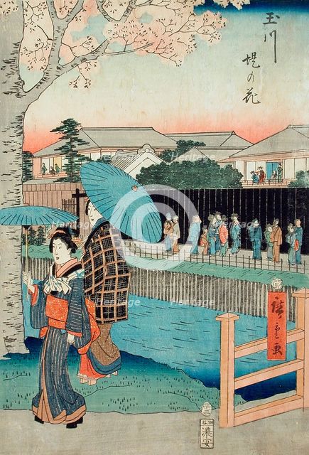 Flowers Beside the Tamagawa-Zutsumi (image 1 of 3), c1856. Creator: Ando Hiroshige.