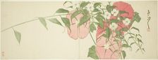 Flowers, early 19th century. Creator: Sato Suiseki