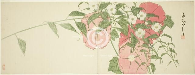 Flowers, early 19th century. Creator: Sato Suiseki.