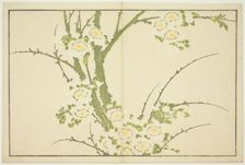 Flowers, from The Picture Book of Realistic Paintings of Hokusai (Hokusai shashin..., Japan, c.1814. Creator: Hokusai