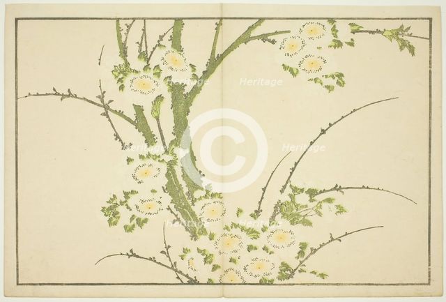 Flowers, from The Picture Book of Realistic Paintings of Hokusai (Hokusai shashin..., Japan, c.1814. Creator: Hokusai.