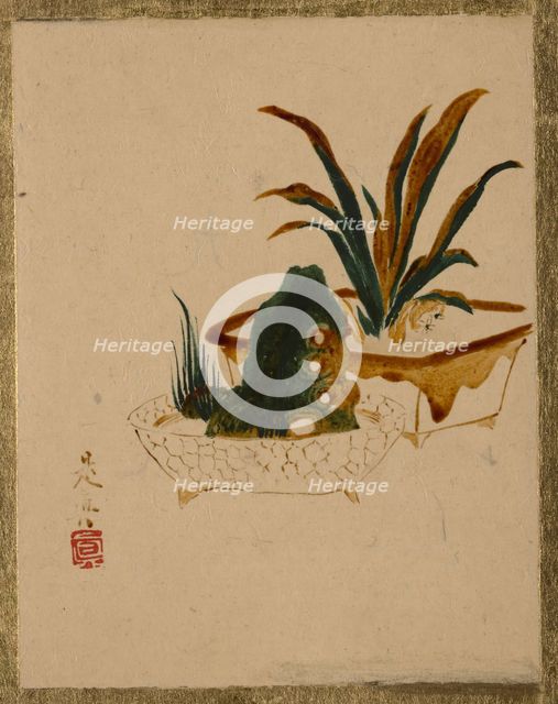 Flowers in Jardinieres, . Creator: Shibata Zeshin.