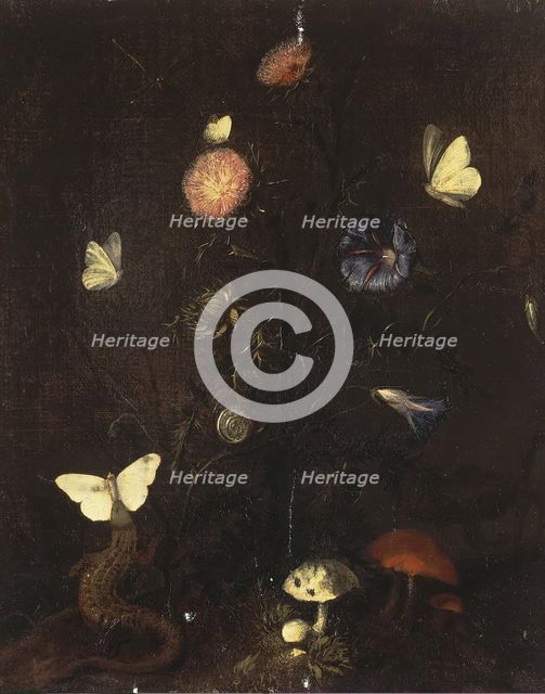 Flowers, Lizard and Butterflies, 1660. Creator: Christian Jansz Striep.
