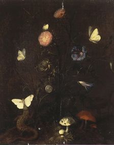 Flowers, Lizard and Butterflies, 1660. Creator: Christian Jansz Striep