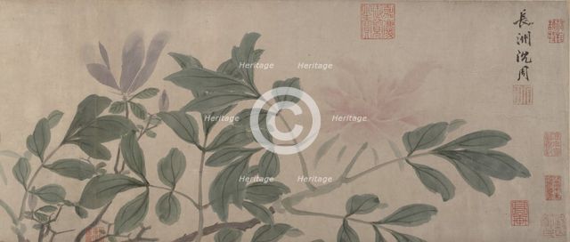 Flowers of the Four Seasons. Creator: Shen Zhou.