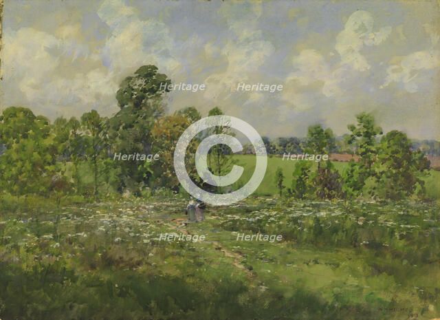 Flowery Meadow, 1910. Creator: William Henry Holmes.
