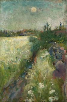 Flowery Meadow at Veierland, 1887. Creator: Edvard Munch