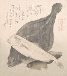 Flounder and Other Fishes, 19th century. Creator: Kubo Shunman
