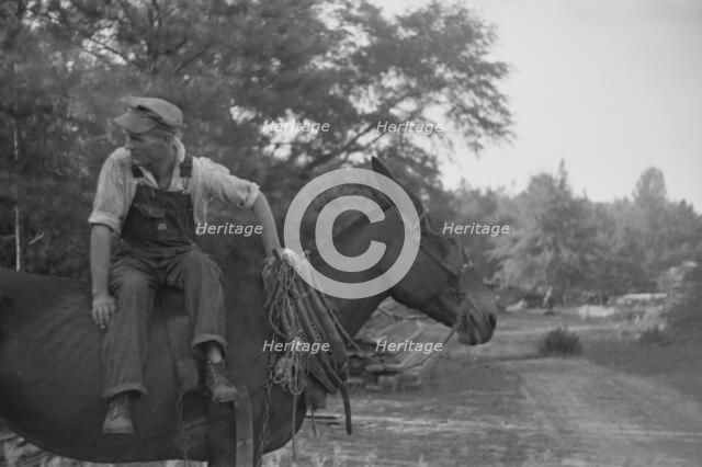 Floyd Burroughs, on mule, Hale County, Alabama, 1936. Creator: Walker Evans.