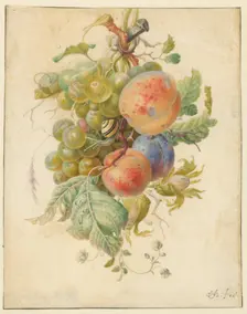 Fruit, 1677-1726. Creator: Herman Henstenburgh