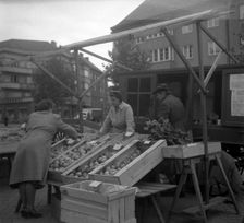 Fruit and vegetable stall in the market, Malmö, Sweden, 1947. Creator: Otto Ohm