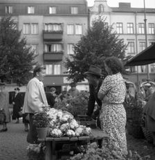 Fruit and vegetable stall selling cauliflowers in the market, Malmö, Sweden, 1947. Creator: Otto Ohm