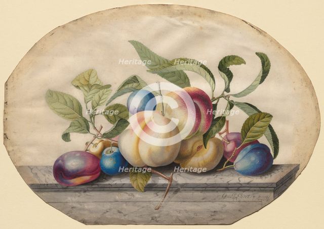 Fruit Arrangement: Peaches and Plumbs on a Slab of Marble, 1742. Creator: Georg Dionysius Ehret (German, 1708-1770).